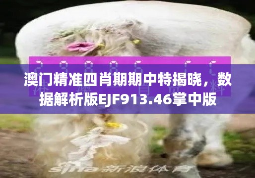 澳门精准四肖期期中特揭晓，数据解析版EJF913.46掌中版