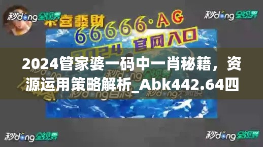 2024管家婆一码中一肖秘籍，资源运用策略解析_Abk442.64四喜版