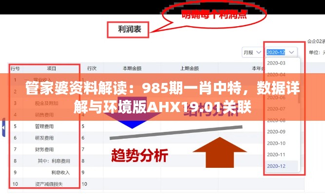 管家婆资料解读：985期一肖中特，数据详解与环境版AHX19.01关联