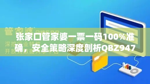 张家口管家婆一票一码100%准确，安全策略深度剖析QBZ947.23连续版