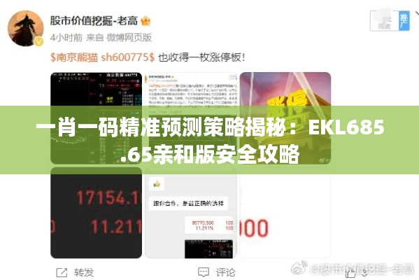 一肖一码精准预测策略揭秘：EKL685.65亲和版安全攻略