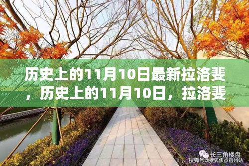 历史上的11月10日，拉洛斐最新技能学习全攻略揭秘