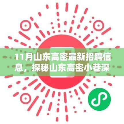 山东高密最新招聘信息揭秘，小巷深处的隐藏小店与十一月招聘大揭秘！