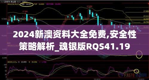 2024新澳资料大全免费,安全性策略解析_魂银版RQS41.19