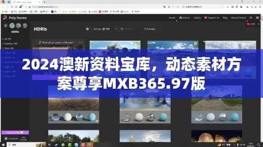 2024澳新资料宝库，动态素材方案尊享MXB365.97版