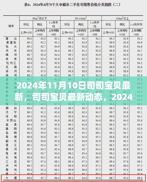 司司宝贝最新动态与观点探析，2024年11月10日的个人立场