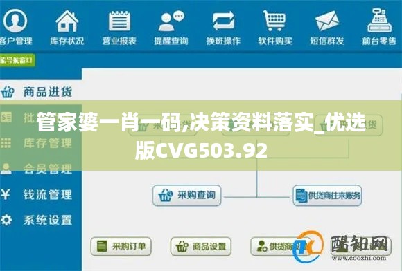 管家婆一肖一码,决策资料落实_优选版CVG503.92