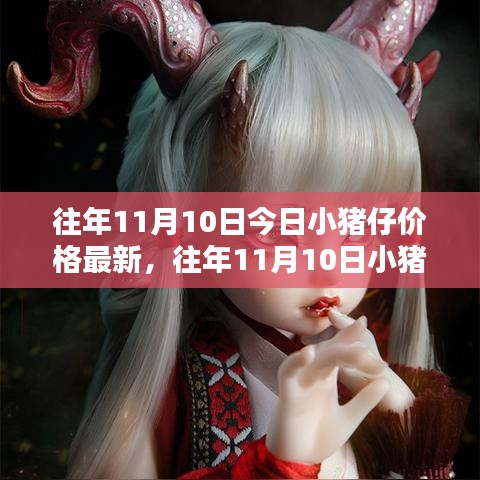 往年11月10日小猪仔价格揭秘，最新行情分析与预测