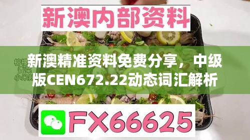 新澳精准资料免费分享，中级版CEN672.22动态词汇解析