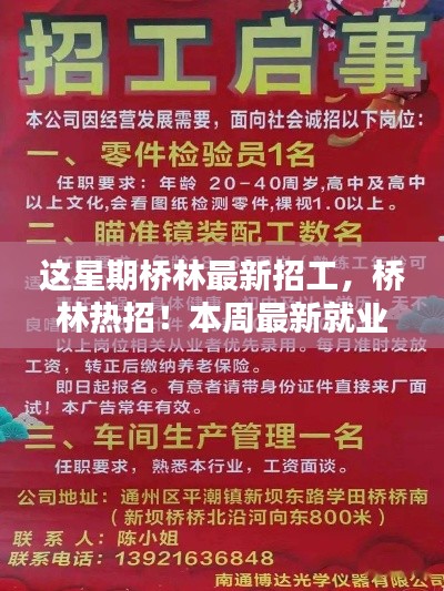 桥林本周热招，最新招工信息，不容错过的就业机遇！