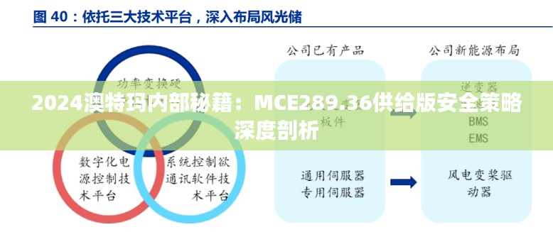 2024澳特玛内部秘籍：MCE289.36供给版安全策略深度剖析