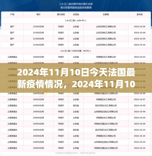 法国最新疫情动态，深度解析与分析预测（某某观点视角）