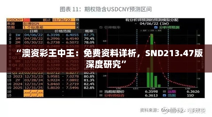 “澳资彩王中王：免费资料详析，SND213.47版深度研究”