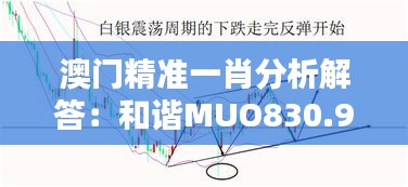 澳门精准一肖分析解答：和谐MUO830.96深度解析