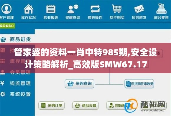 管家婆的资料一肖中特985期,安全设计策略解析_高效版SMW67.17