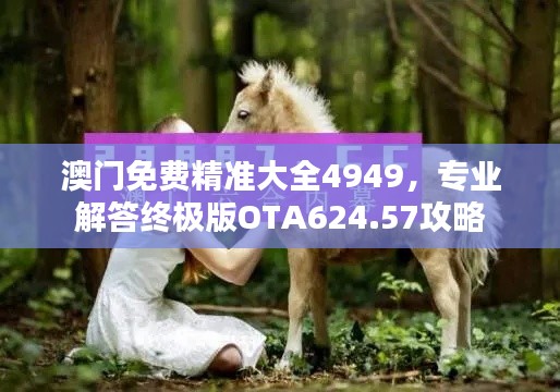 澳门免费精准大全4949，专业解答终极版OTA624.57攻略