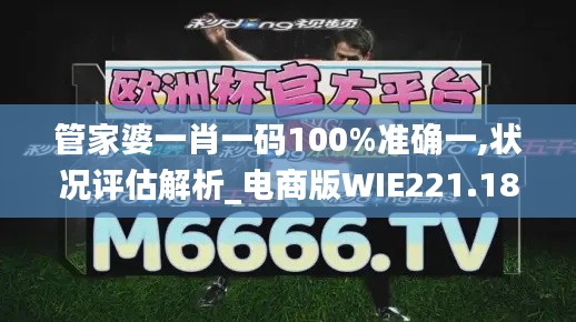 管家婆一肖一码100%准确一,状况评估解析_电商版WIE221.18