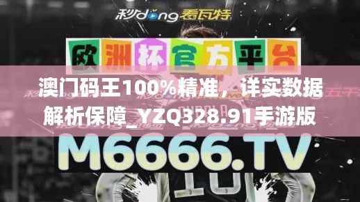 澳门码王100%精准，详实数据解析保障_YZQ328.91手游版