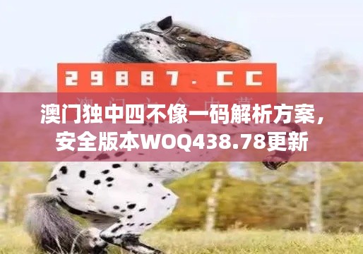 澳门独中四不像一码解析方案，安全版本WOQ438.78更新