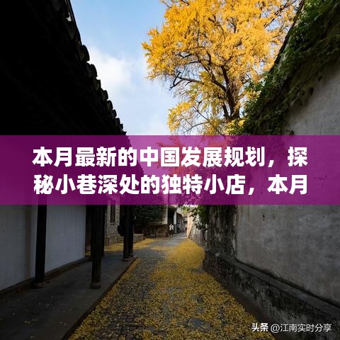 中国发展规划中的隐秘宝藏，探秘小巷深处的独特小店