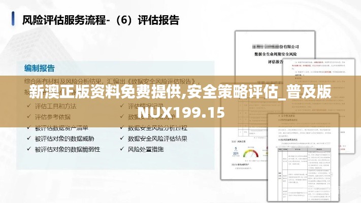 新澳正版资料免费提供,安全策略评估_普及版NUX199.15