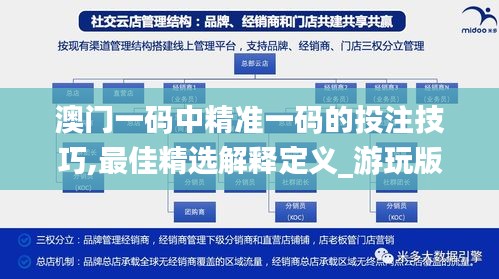 澳门一码中精准一码的投注技巧,最佳精选解释定义_游玩版TER743.9