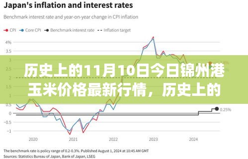 历史上的11月10日，锦州港玉米价格行情变迁与自信成就之路的探寻