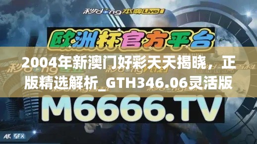 2004年新澳门好彩天天揭晓，正版精选解析_GTH346.06灵活版