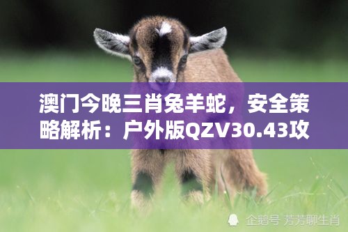 澳门今晚三肖兔羊蛇，安全策略解析：户外版QZV30.43攻略