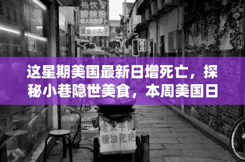 美国日增死亡背后的故事，小巷隐世美食与一家独特小店的探秘之旅