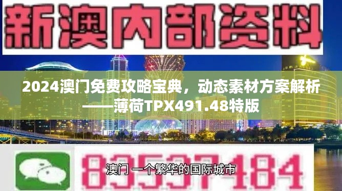 2024澳门免费攻略宝典，动态素材方案解析——薄荷TPX491.48特版