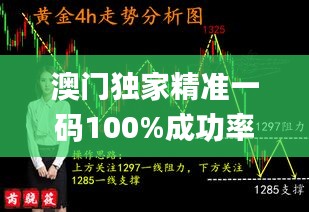 澳门独家精准一码100%成功率，官方资源策略揭秘_掌中版BGD682.85