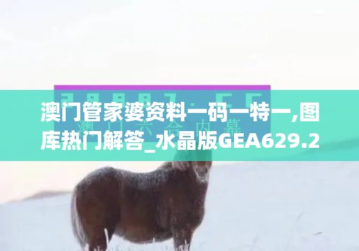 澳门管家婆资料一码一特一,图库热门解答_水晶版GEA629.23