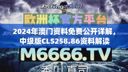 2024年澳门资料免费公开详解，中级版CLS258.86资料解读