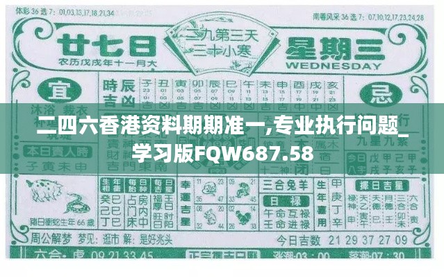 二四六香港资料期期准一,专业执行问题_学习版FQW687.58