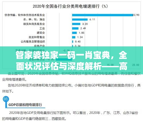 管家婆独家一码一肖宝典，全面状况评估与深度解析——高清GDP833.73版