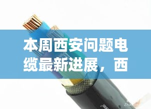 西安问题电缆最新进展揭秘，温情日常与家的力量本周风云再起