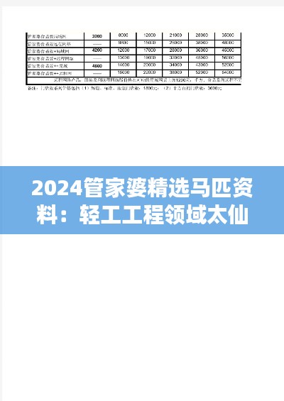 2024管家婆精选马匹资料：轻工工程领域太仙XLY394.28解析