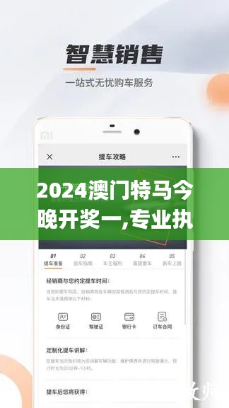 2024澳门特马今晚开奖一,专业执行问题_神将HVL169.26