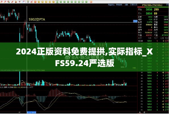 2024正版资料免费提拱,实际指标_XFS59.24严选版