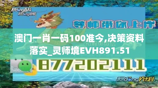 澳门一肖一码100准今,决策资料落实_灵师境EVH891.51