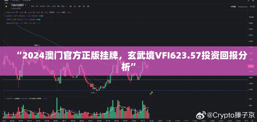 “2024澳门官方正版挂牌，玄武境VFI623.57投资回报分析”