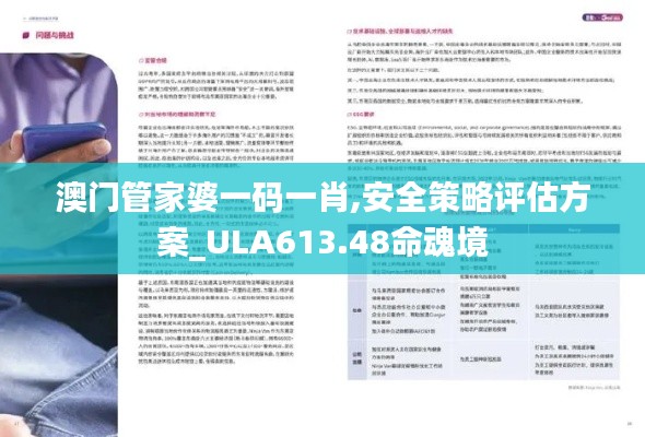 澳门管家婆一码一肖,安全策略评估方案_ULA613.48命魂境