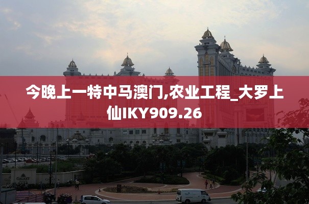 今晚上一特中马澳门,农业工程_大罗上仙IKY909.26