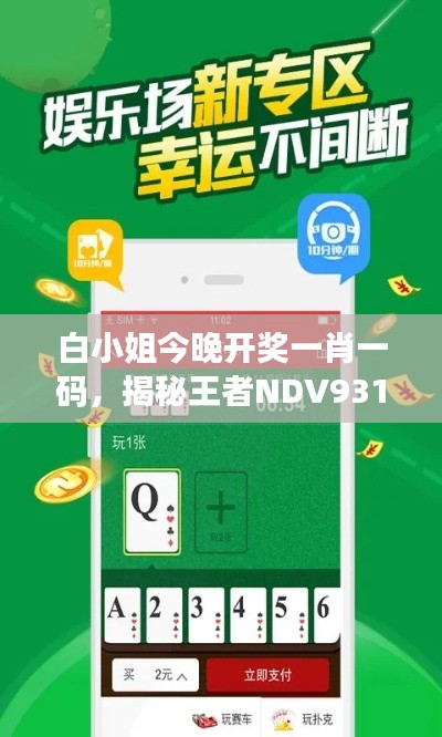 白小姐今晚开奖一肖一码，揭秘王者NDV931.48的安全设计策略