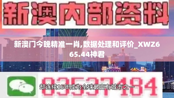 新澳门今晚精准一肖,数据处理和评价_XWZ665.44神君