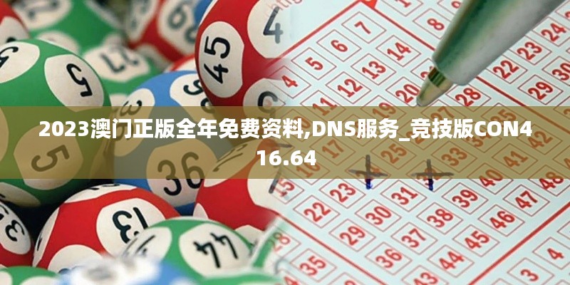 2023澳门正版全年免费资料,DNS服务_竞技版CON416.64