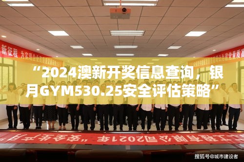 “2024澳新开奖信息查询，银月GYM530.25安全评估策略”