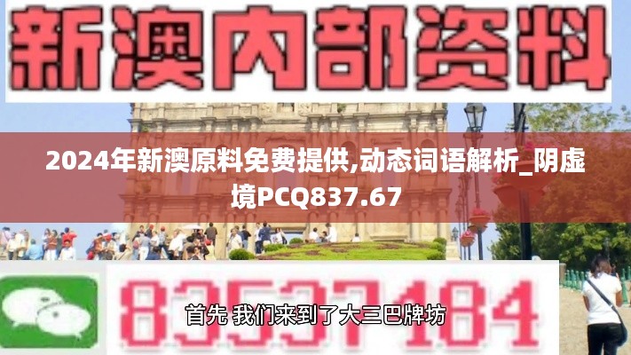 2024年新澳原料免费提供,动态词语解析_阴虚境PCQ837.67