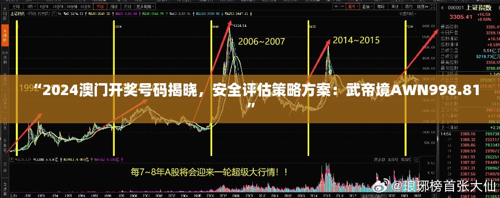 “2024澳门开奖号码揭晓，安全评估策略方案：武帝境AWN998.81”